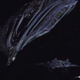Illustration for article titled The Evolution Of Space Cruiser Design: A Gallery